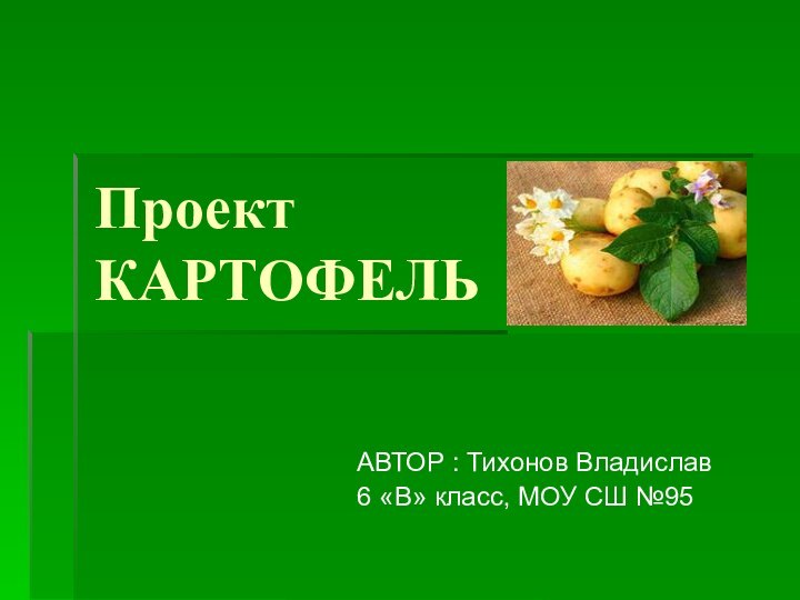 Проект КАРТОФЕЛЬАВТОР : Тихонов Владислав6 «В» класс, МОУ СШ №95