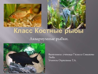 Класс Костные рыбы