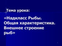 Надкласс Рыбы. Общая характеристика. Внешнее строение рыб