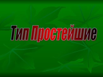 Тип Простейшие