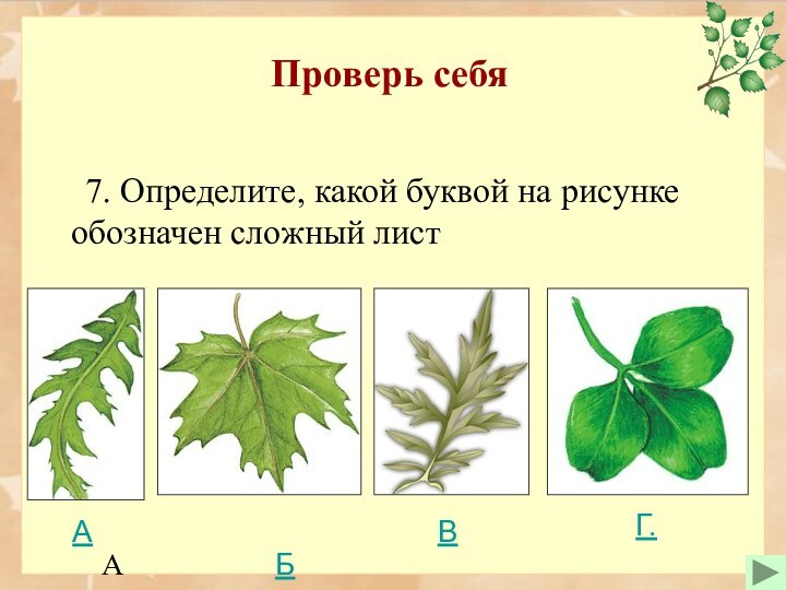 Проверь себя   7. Определите, какой буквой на рисунке обозначен сложный