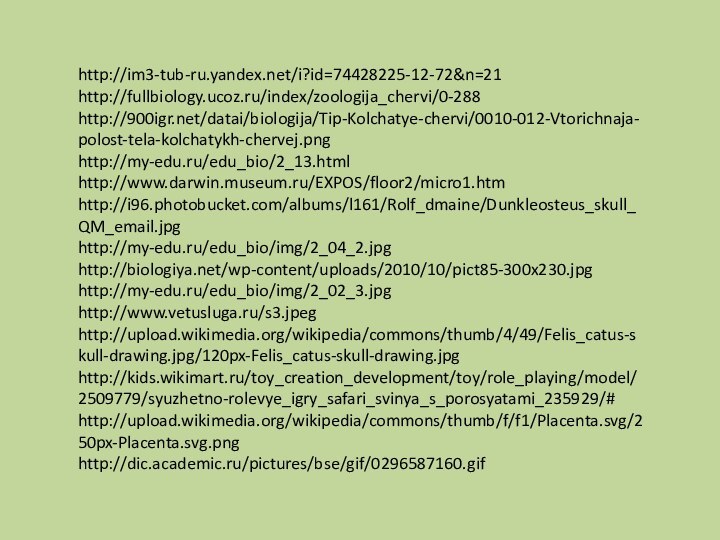 http://im3-tub-ru.yandex.net/i?id=74428225-12-72&n=21http://fullbiology.ucoz.ru/index/zoologija_chervi/0-288http:///datai/biologija/Tip-Kolchatye-chervi/0010-012-Vtorichnaja-polost-tela-kolchatykh-chervej.pnghttp://my-edu.ru/edu_bio/2_13.htmlhttp://www.darwin.museum.ru/EXPOS/floor2/micro1.htmhttp://i96.photobucket.com/albums/l161/Rolf_dmaine/Dunkleosteus_skull_QM_email.jpghttp://my-edu.ru/edu_bio/img/2_04_2.jpghttp://biologiya.net/wp-content/uploads/2010/10/pict85-300x230.jpghttp://my-edu.ru/edu_bio/img/2_02_3.jpghttp://www.vetusluga.ru/s3.jpeghttp://upload.wikimedia.org/wikipedia/commons/thumb/4/49/Felis_catus-skull-drawing.jpg/120px-Felis_catus-skull-drawing.jpghttp://kids.wikimart.ru/toy_creation_development/toy/role_playing/model/2509779/syuzhetno-rolevye_igry_safari_svinya_s_porosyatami_235929/#http://upload.wikimedia.org/wikipedia/commons/thumb/f/f1/Placenta.svg/250px-Placenta.svg.pnghttp://dic.academic.ru/pictures/bse/gif/0296587160.gif