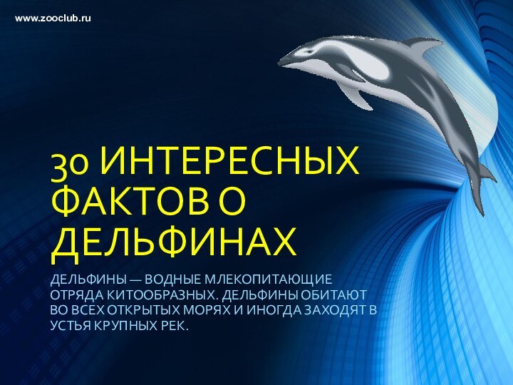 30 ИНТЕРЕСНЫХ ФАКТОВ О ДЕЛЬФИНАХДЕЛЬФИНЫ — ВОДНЫЕ МЛЕКОПИТАЮЩИЕ ОТРЯДА КИТООБРАЗНЫХ. ДЕЛЬФИНЫ ОБИТАЮТ