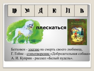 Преданность, верность, дружба в рассказе Александра Ивановича Куприна Белый пудель