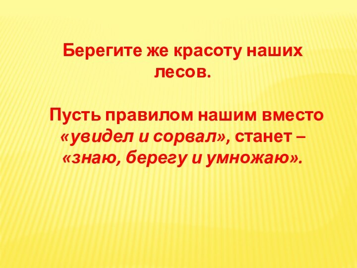 Берегите же красоту наших лесов.  Пусть правилом нашим вместо «увидел и сорвал»,