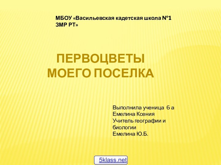 МБОУ «Васильевская кадетская школа №1 ЗМР РТ» ПЕРВОЦВЕТЫ  моего поселкаВыполнила ученица