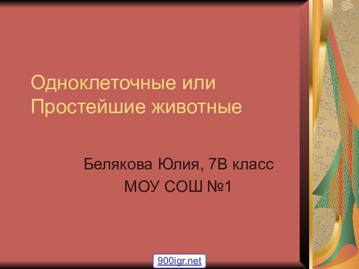 Одноклеточные или Простейшие животныеБелякова Юлия, 7В классМОУ СОШ №1