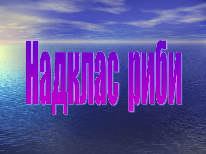 Надклас риби