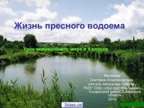 Обитатели пресного водоёма