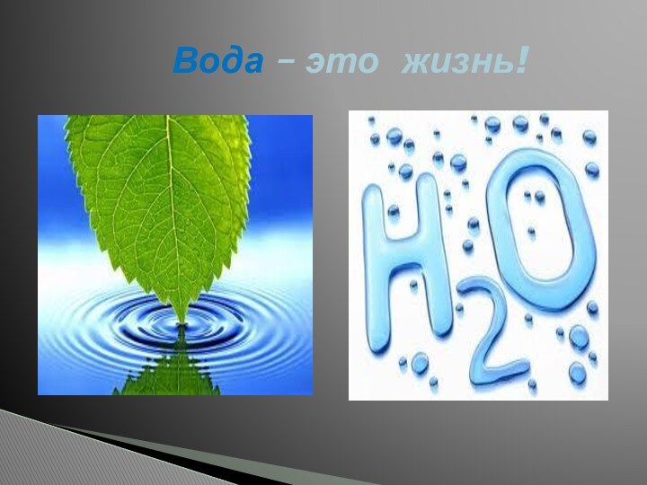 Вода – это жизнь!