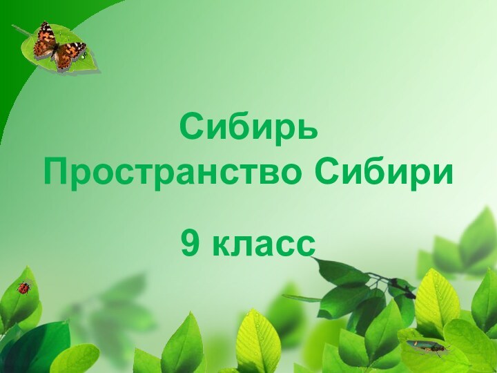 Сибирь Пространство Сибири9 класс