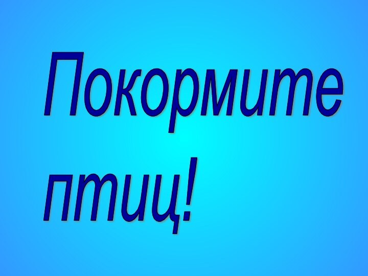 Покормите  птиц!