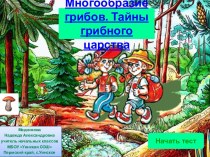 Многообразие грибов. Тайны грибного царства