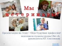 Профессия ветеринар