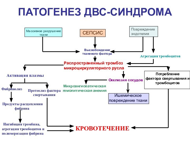 ПАТОГЕНЕЗ ДВС-СИНДРОМАСЕПСИСПовреждение эндотелияМассивное разрушениетканиВысвобождение тканевого фактораАгрегация тромбоцитовРаспространенный тромбозмикроциркуляторного руслаАктивация плазмыПотребление фактора свертывания