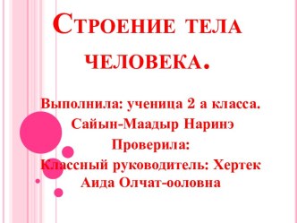 Строение тела человека 2 класс