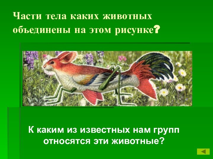 Части тела каких животных объединены на этом рисунке? К каким из известных