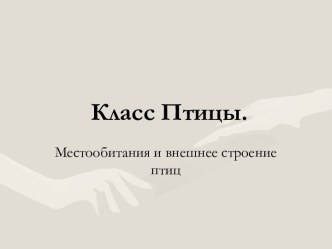 Класс Птицы. Местообитания и внешнее строение птиц