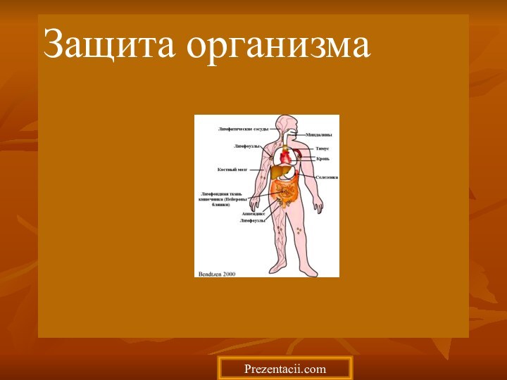 Защита организмаPrezentacii.com