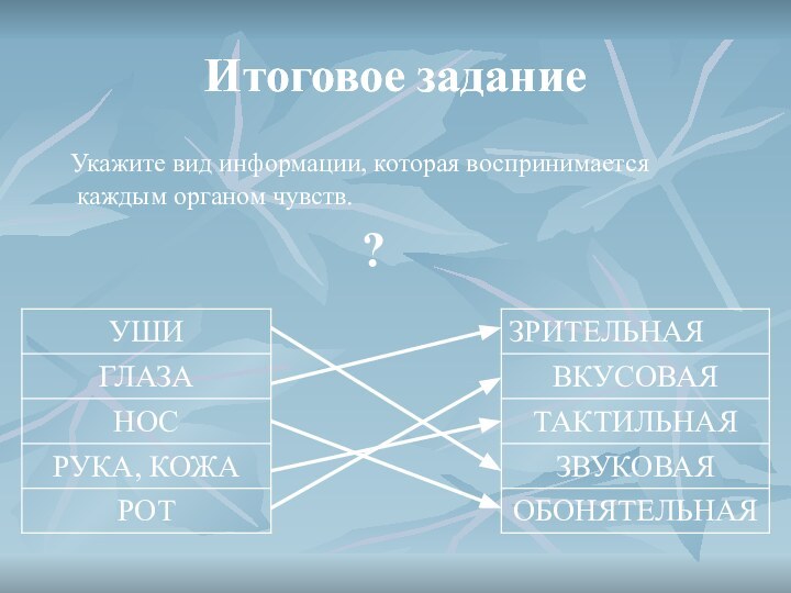 Итоговое заданиеИтоговое задание  Укажите вид информации, которая воспринимается каждым органом чувств.?