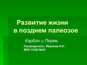 Развитие жизни в позднем палеозое