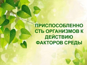 Приспособленность организмов к действию факторов среды