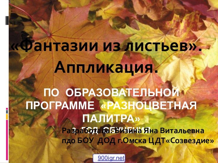 ПО ОБРАЗОВАТЕЛЬНОЙ ПРОГРАММЕ «РАЗНОЦВЕТНАЯ ПАЛИТРА» 2 ГОД ОБУЧЕНИЯ«Фантазии из листьев». Аппликация.Разработала: Бизина