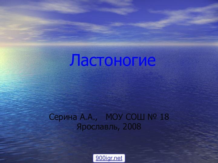 Ластоногие Серина А.А.,  МОУ СОШ № 18Ярославль, 2008