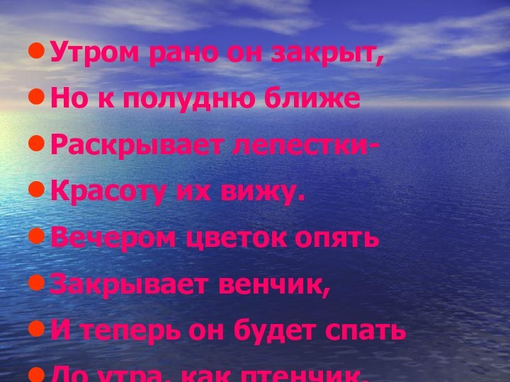 Утром рано он закрыт, Но к полудню ближеРаскрывает лепестки-Красоту их вижу.Вечером цветок