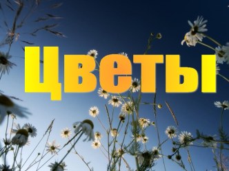 Цветы