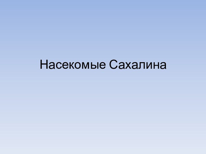 Насекомые Сахалина