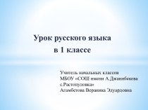 Урок русского языка в 1 классе