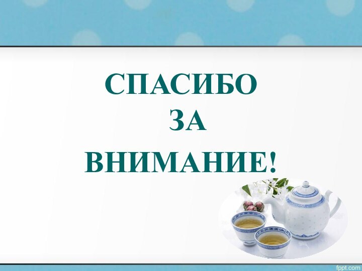 СПАСИБО  ЗА ВНИМАНИЕ!
