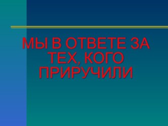 Мы в ответе за тех, кого приручили