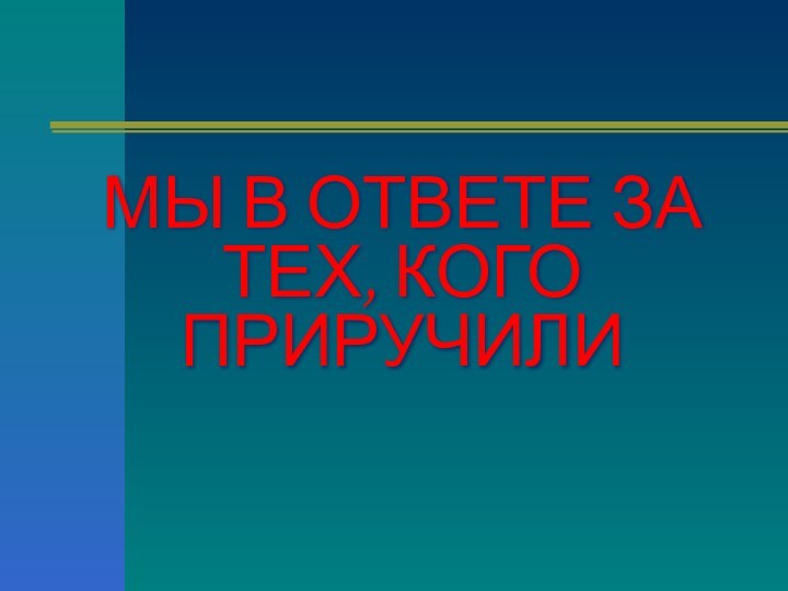 МЫ В ОТВЕТЕ ЗА ТЕХ, КОГО ПРИРУЧИЛИ