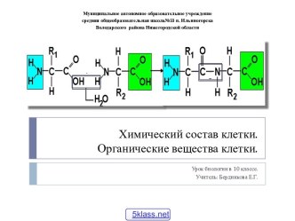 Каков химический состав клетки