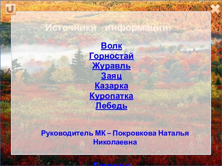 Источники  информации:ВолкГорностай ЖуравльЗаяцКазарка КуропаткаЛебедьЛемминг ОвцебыкОлень ПесецСова ФонБаннер МКРуководитель МК – Покровкова Наталья Николаевна