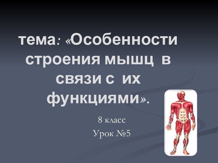 тема: «Особенности строения мышц в связи с их функциями».8 класс Урок №5