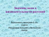 Значение воды в жизнедеятельности растений (6 класс)