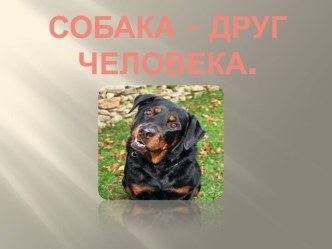 Собака - друг человека