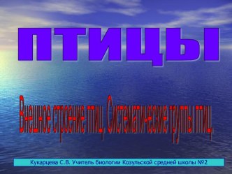 Птицы, Внешнее строение, Систематические группы птиц