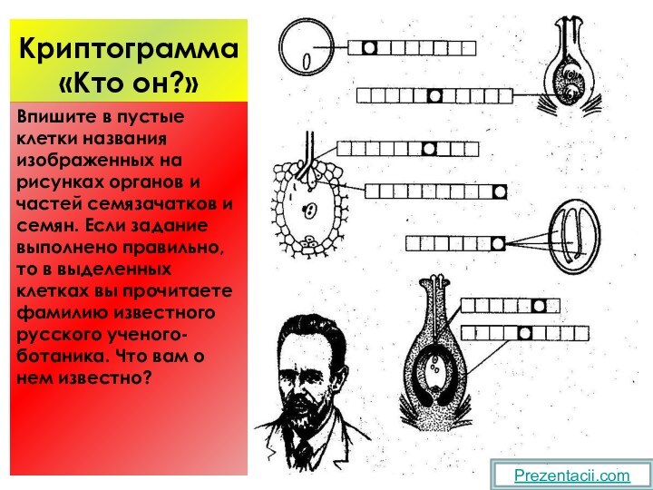 Криптограмма «Кто он?»Впишите в пустые клетки названия изображенных на рисунках органов и