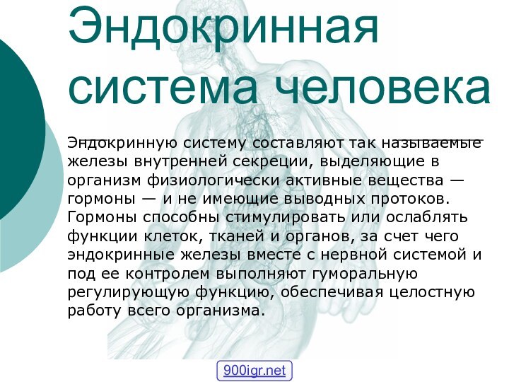 Эндокринная система человекаЭндокринную систему составляют так называемые железы внутренней секреции, выделяющие в