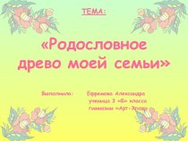 Родословное древо семьи Ефремовых