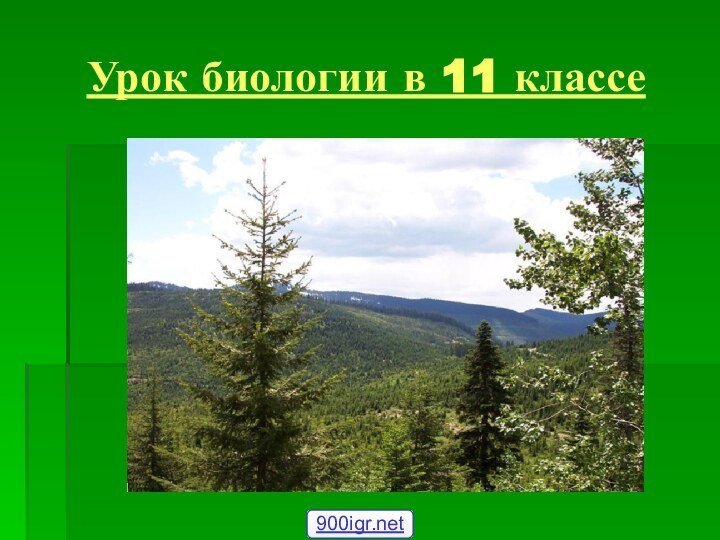 Урок биологии в 11 классе