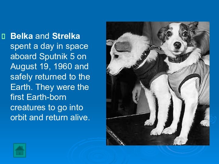 Belka and Strelka spent a day in space aboard Sputnik 5 on