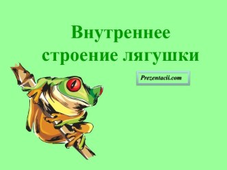 Внутреннее строение лягушки