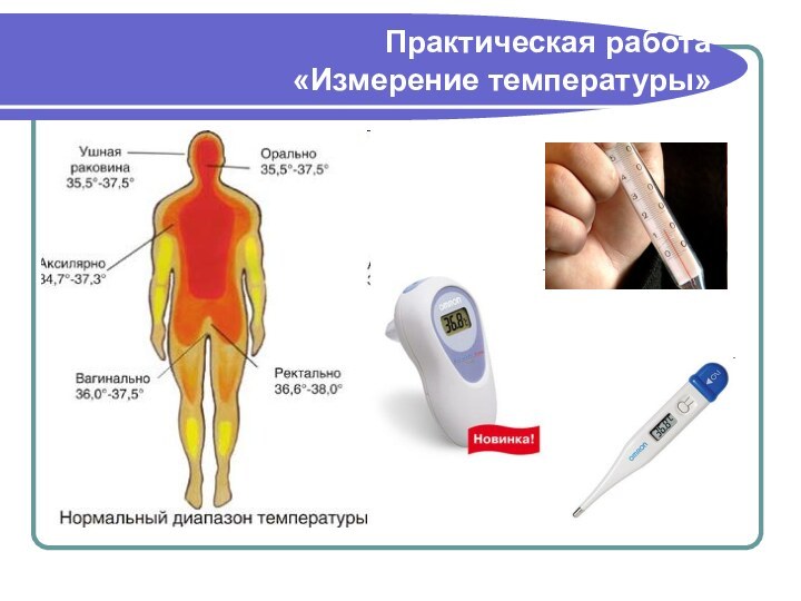 Практическая работа  «Измерение температуры»