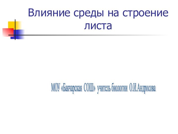 Влияние среды на строение листаМОУ «Бакчарская СОШ» учитель биологии О.И.Андросова