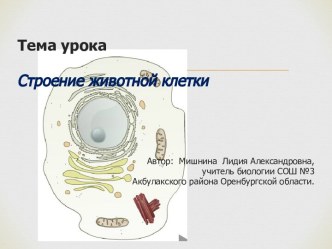 Строение животной клетки